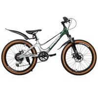 Велосипед 22' MIOIL JDS 2131435116