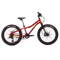 Велосипед Merida Matts J.20+ Pro SilkRed/Green/Black 2028810270