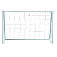 Ворота игровыe DFC Goal240T с тентом 240x150x65 803820160