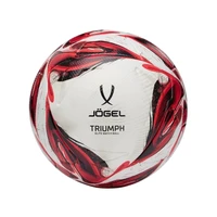 Мяч футбольный Jogel Triumph Elite №5 1493216115