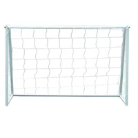 Ворота игровыe DFC Goal302 302x200x130 470389715