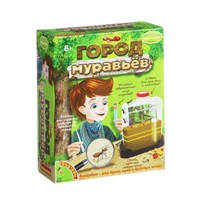 Французские опыты Науки с Буки Bondibon, Город муравьёв (арт. ВВ1549) 636083960