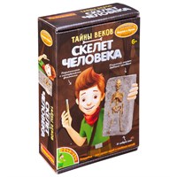 Набор для раскопок Bondibon "Тайны веков: Скелет древнего человека" Исторические раскопки Науки с Буки (арт. ВВ4790) 1601676780
