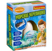 Набор для опытов Bondibon "Морские черепашки" Французские опыты Науки с Буки (арт. ВВ3170) 1944322202