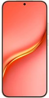Honor X9e Pro 6/256Gb терракотовый (EAC) 418196448
