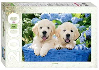 Мозаика puzzle 2000 Щенята в корзине # 84040