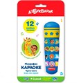 Микрофон Караоке Чунга-чанга 4630027294364 320-743