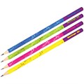 Карандаш ч/гр НВ Double color ВР00840 Berlingo 893-911