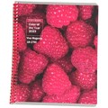 Тетрадь 48 л. клетка VIVA MAGENTA 48-6133 887-617