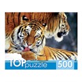 Пазл 500 Два тигра КБТП500-6797 634-553