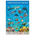 Плакат Обитатели моря 3410 710-260