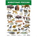 Плакат Животные России 2986 611-912