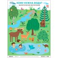 Плакат 978-5-43153-059-3 Кому нужна вода 401-239