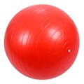 Мяч для фитнеса 55 см. 141-21-59 653-557