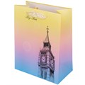 Пакет 18*10*23 см 141V-1018 660-371