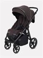 Коляска прогулочная Rant Caspia Soft Shine brown 4670078675576