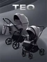Коляска 2 в 1 Rant Teo Grey 4670078656001