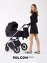 Коляска 2 в 1 Rant Falcon Therm Black 4670078655950