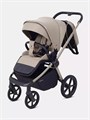 Коляска 2 в 1 Rant Flex Soft Therm Sandy beige 4670078668554
