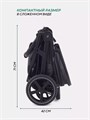 Коляска прогулочная Mowbaby Trail Carbon 4670078642981