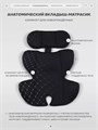 Автокресло Rant Carry Pro (40-87 см) Black 4670078666284