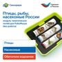 MS0102/4 Модуль "Птицы, рыбы, насекомые России" MS0102/4