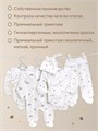 Набор (5 предметов) Rant Basic Funny Milk арт. 5-90 4670078651921