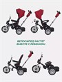 Велосипед трехколесный Mowbaby Eagle Red 4670078646545