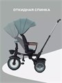 Велосипед 3-колесный Mowbaby Rodeo Mint 4670078656438