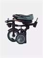 Велосипед 3-колесный Mowbaby Rodeo Mint 4670078656438