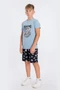Костюм (футболка+шорты) М22148Пг М22148Пг