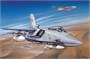 72001  авиация  EF-2000 TYPHOON-MODEL SET-STARTER KIT  (1:72) 8,00128E+12