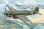 02269  авиация  P-40E War Hawk  (1:32) 9580208022697