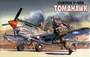 12456  авиация  P-40B Tomahawk (1:72) 603550016554