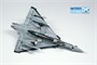 DM720025  авиация  Mirage 2000C  (1:72) 4571628231856