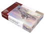 SH72243  авиация  Vickers Vildebeest Mk.IV "Perseus Engine Version"  (1:72) 2000002218487