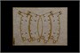 6196  наборы для диорам  Gladiators Fight  (1:72) 8001283061964