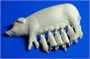 RV35007  фигуры  Livestock Set Vol. 1  (1:35) 6953391900098