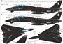 UR48207  декали  F-14A/D Tomcat Black Bunny  (1:48) 2000002140436