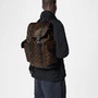 Рюкзак Louis Vuitton Christopher PM, коричневый 1451595