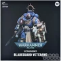 Фигурка JoyToy. Warhammer 40,000: Bladeguard Veteran Brother Sergeant Proximo 125177