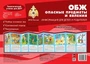 Ширмочки. ОБЖ. Опасные предметы и явления. Тематический уголок для детей и родителей (195х280 мм) 408254189