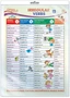 *ПО-14462 ПЛАКАТ А3 В ПАКЕТЕ. Английский язык в 4 классе. Irregular Verbs 1 (Неправильные Глаголы 1, в индивидуальной упаковке, с европодвесом и клеевым клапаном) 746554612