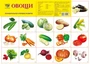 Демонстрационный плакат СУПЕР А2 Овощи 2011144416
