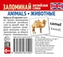 Набор из 20 карточек. Запоминай английские слова. ANIMALS • ЖИВОТНЫЕ 835543733