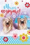 З-12153 Открытка среднего формата. Милой подружке! Текст, пластизоль 551308104