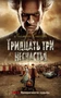 Тридцать три несчастья. Т. 3. Превратности судьбы 792650585