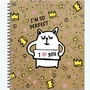 НОВИНКА! Тетрадь общая 48 листов на спирали "Funny doodle" 1533453555