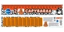 74087 Линейка пластиковая "I love capybaras" с таблицей умножения, 20 см. 1749645334