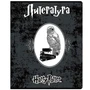 76435 Тетрадь предметная Литература Гарри Поттер, со справочным материалом, формат А5, клетка, 48 листов, на скрепке, внутренний блок офсет 60-65 г, 92% белизна, обложка софт-тач, скругленные углы, 1 дизайн, в спайке 10 шт 702610542